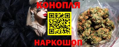 спиды Кинель